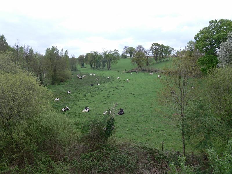 Mont Saint Michel 2010 - 347.jpg